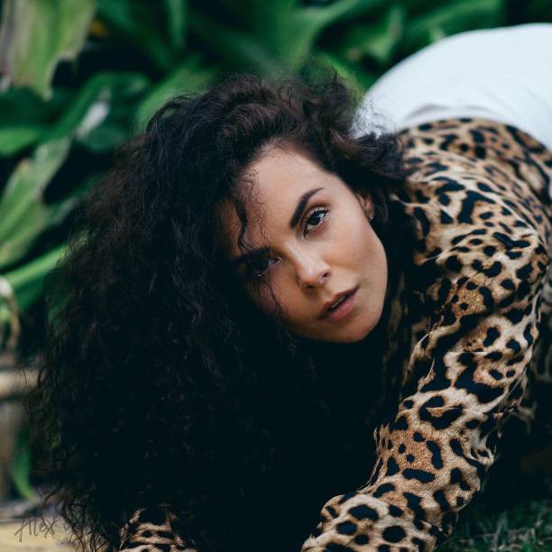     (Potap Photo)       /  - 257