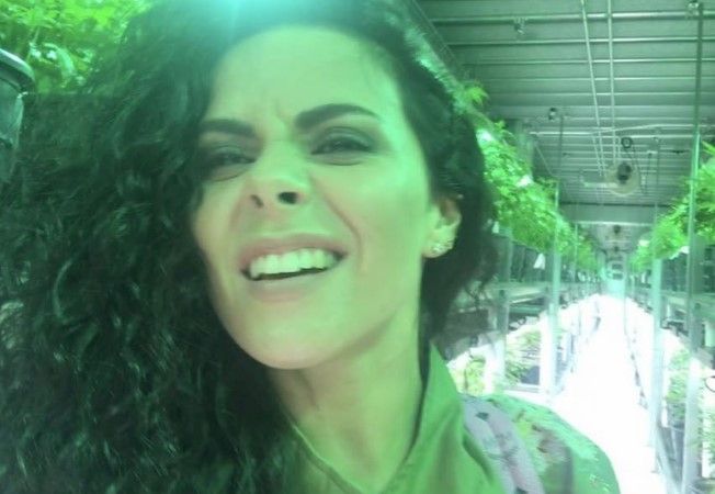     (Potap Photo)       /  - 370