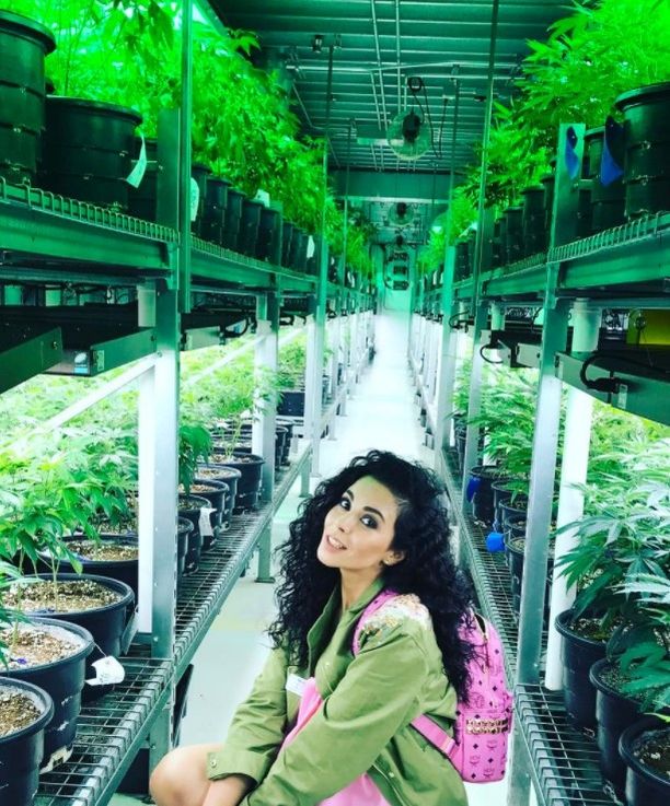     (Potap Photo)       /  - 391