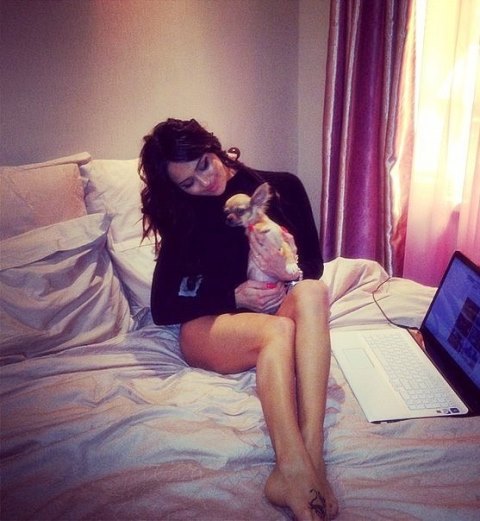    (  Nita Kuzmina Gupta Photo)    ,   /  - 491