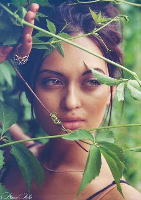    (  Nita Kuzmina Gupta Photo)    ,   /  - 501