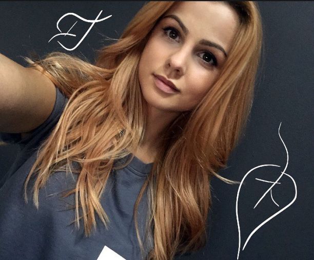    - ,    2017 /  - 113