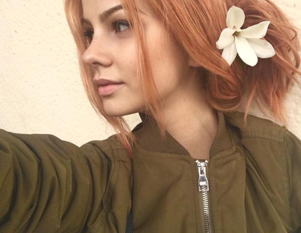    - ,    2017 /  - 184