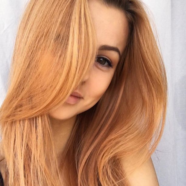    - ,    2017 /  - 187