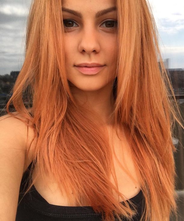    - ,    2017 /  - 198