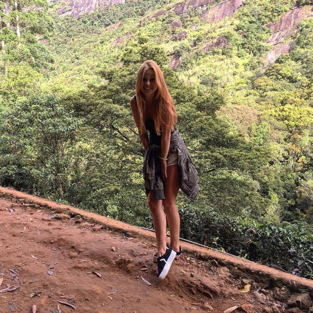    - ,    2017 /  - 201