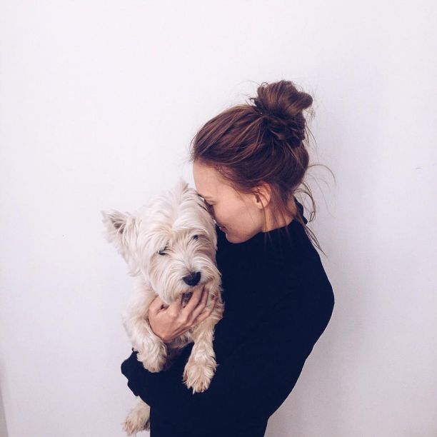 ������� �������� ���� - ������, �������, ��������� ��� �������� / �������� - 331