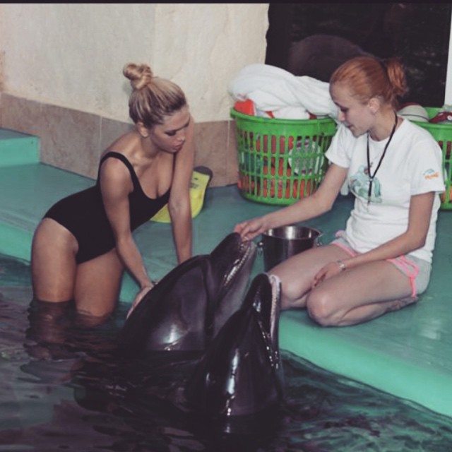    (Vera Brejneva Photo)   ,      /  - 254