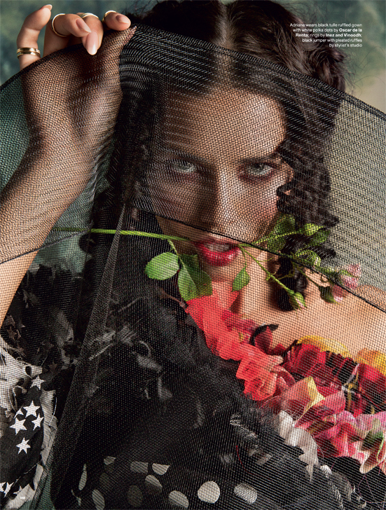Adriana Lima Photo (  )  Victorias Secret /  - 82