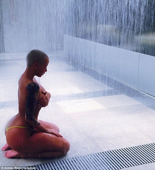   (Amber Rose)  - ,  /  - 71