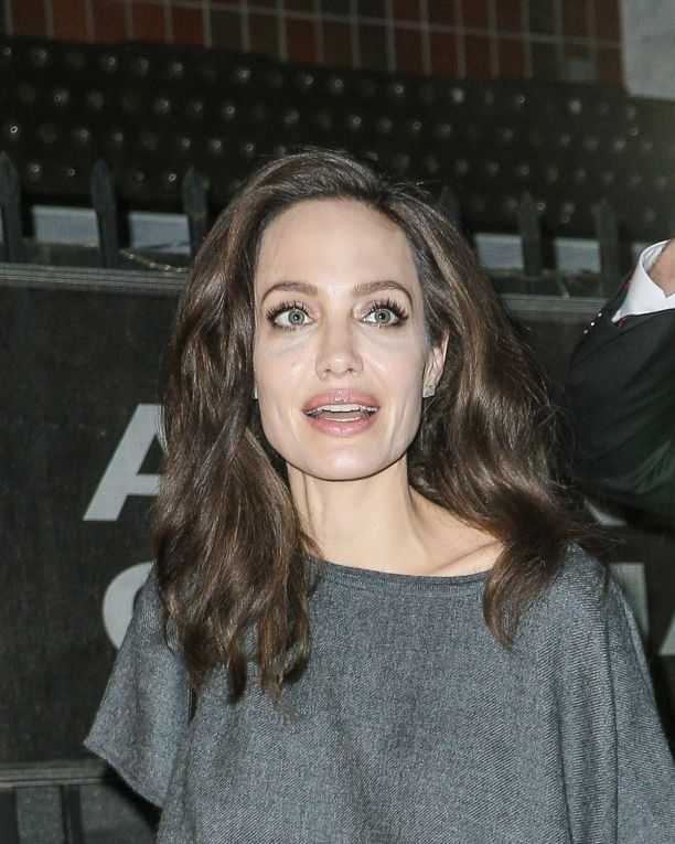 Angelina Jolie Photo (  )  ,     ,    /  - 21