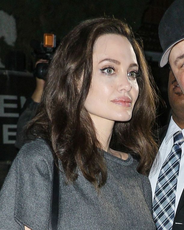 Angelina Jolie Photo (  )  ,     ,    /  - 22