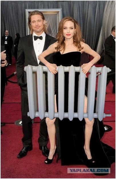 Angelina Jolie Photo (  )  ,     ,    /  - 71