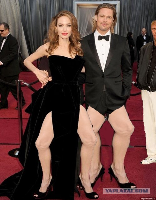 Angelina Jolie Photo (  )  ,     ,    /  - 72
