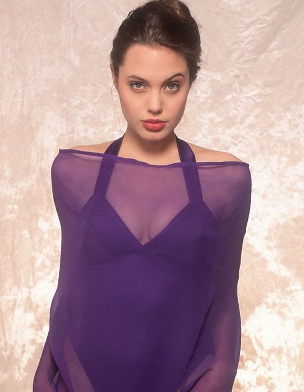 Angelina Jolie Photo (  )  ,     ,    /  - 93
