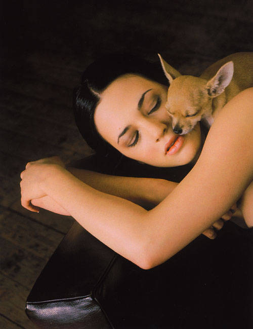 Asia Argento Photo (���� ������� ����) ����������� �������, �����������, ���������, �������� � ������ / �������� - 31