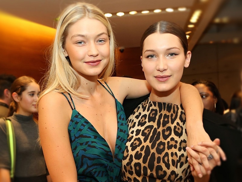   (Bella Hadid)  -  /  - 120