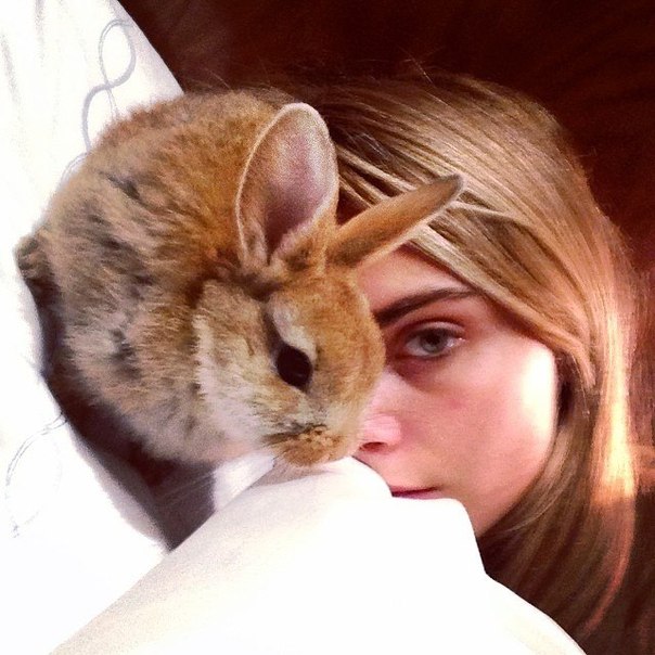 Cara Delevingne Photo (  )   /  - 97