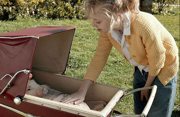 Dakota Fanning Photo (  )    /  - 41