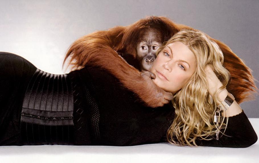Fergie Photo ( )  ,   The Black Eyed Peas /  - 80
