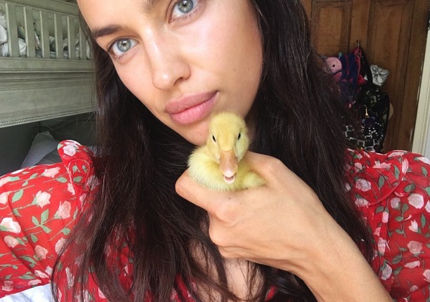   (Irina Shayk)  - ,    /  - 42