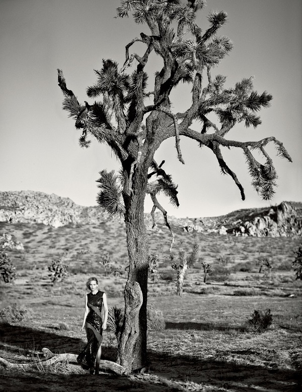 ��������� ������� (Jennifer Lawrence) ���� - ������������ ������� / �������� - 172