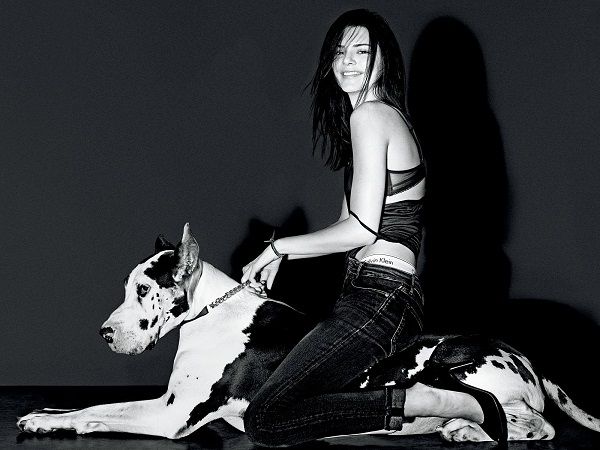 Kendall Jenner Photo (  ) ,   ,   /  - 228