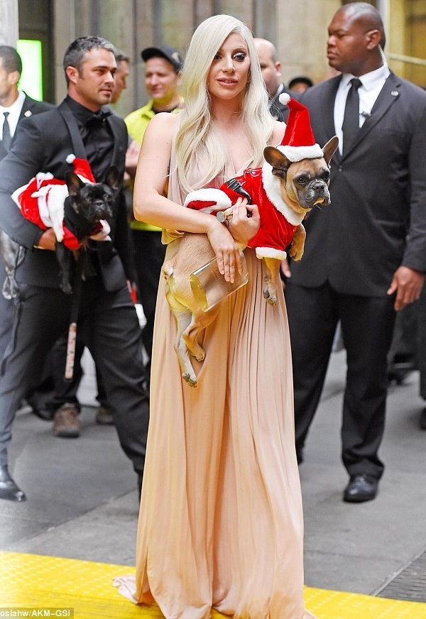 Lady GaGa Photo (  )  ,   /  - 19