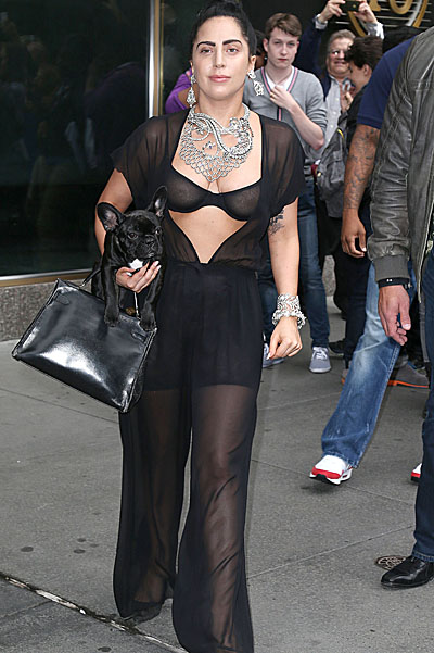 Lady GaGa Photo (  )  ,   /  - 104