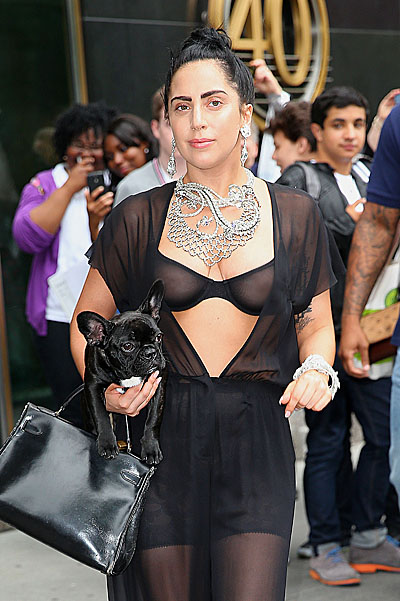 Lady GaGa Photo (  )  ,   /  - 107
