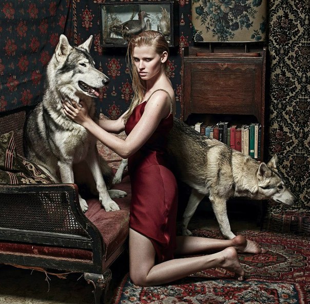 Lara Stone Photo (  )  /  - 24