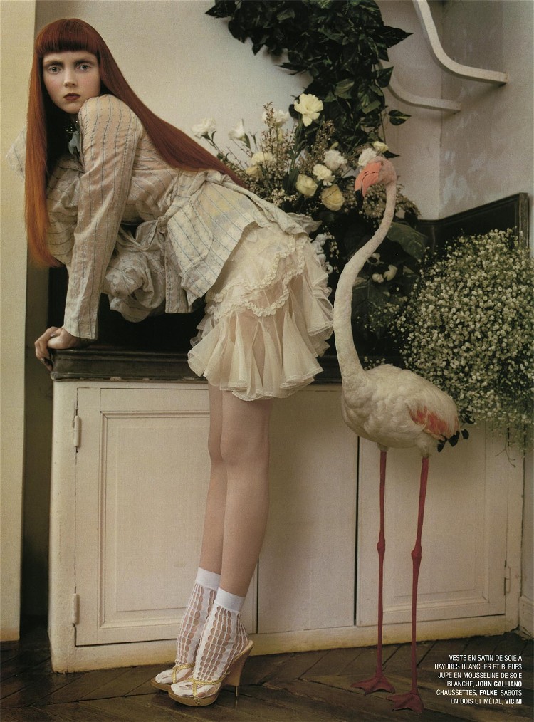 Lily Cole Photo (  )   /  - 15