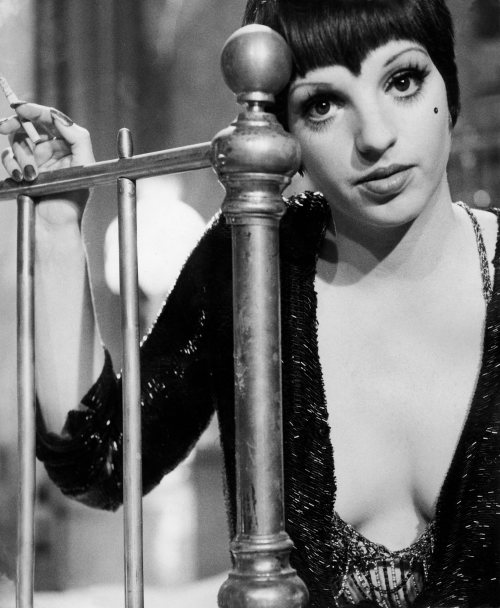 Liza Minnelli Photo (  )  ,  /  - 13