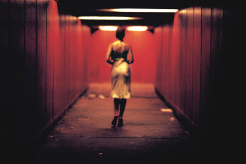 Monica Bellucci Photo (������ ������� ����) ������������ ������� / �������� - 203