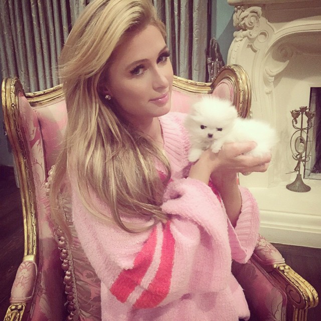 Paris Hilton Photo (  )  , ,  , /  - 111