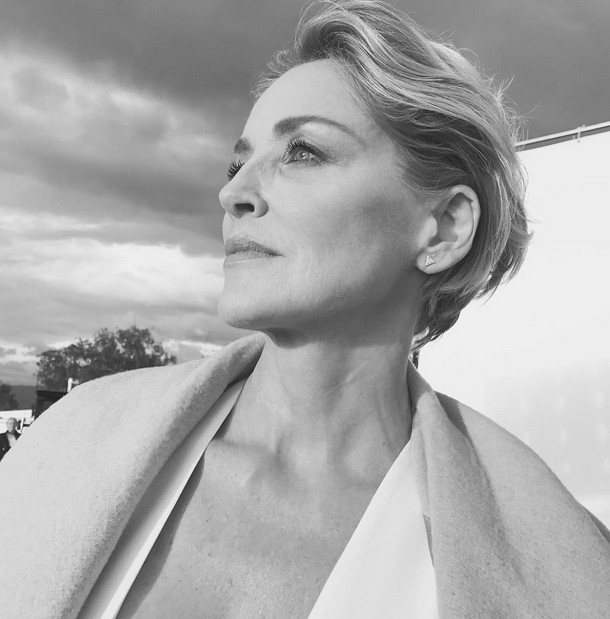 Sharon Stone Photo (  )  , ,   /  - 12