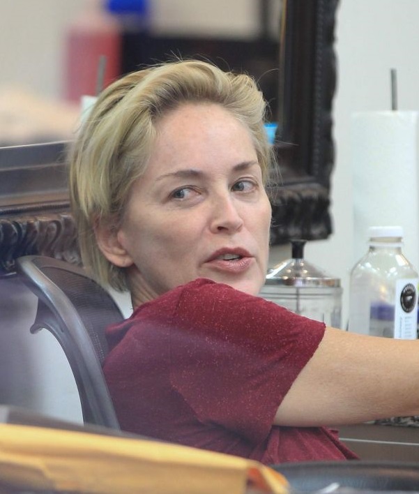 Sharon Stone Photo (  )  , ,   /  - 33