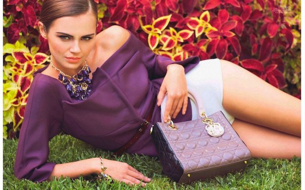   (Xenia Deli)  - ,  62-    /  - 190