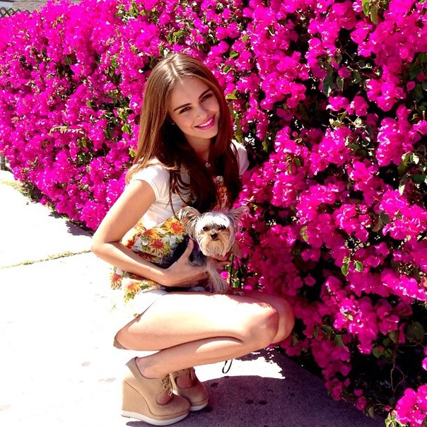   (Xenia Deli)  - ,  62-    /  - 229