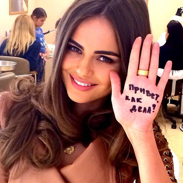   (Xenia Deli)  - ,  62-    /  - 231