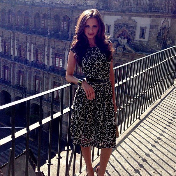   (Xenia Deli)  - ,  62-    /  - 232