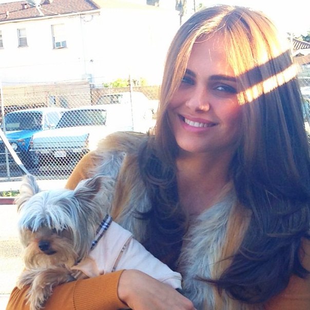   (Xenia Deli)  - ,  62-    /  - 241