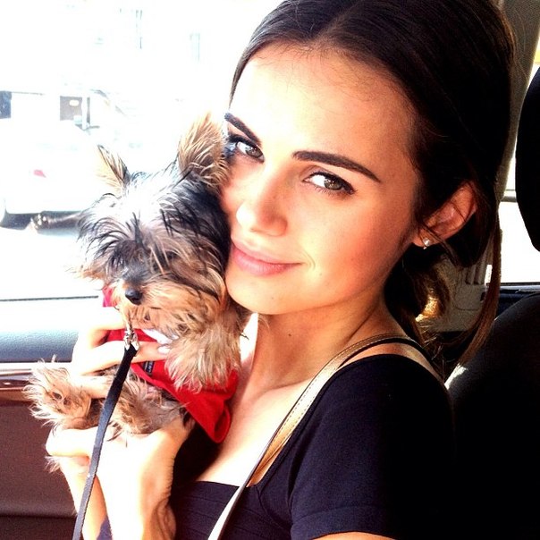   (Xenia Deli)  - ,  62-    /  - 244