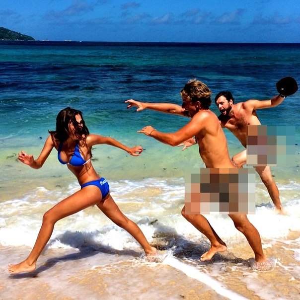   (Xenia Deli)  - ,  62-    /  - 262