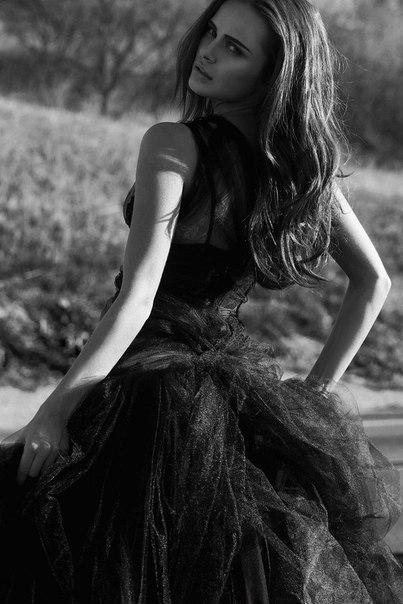   (Xenia Deli)  - ,  62-    /  - 283