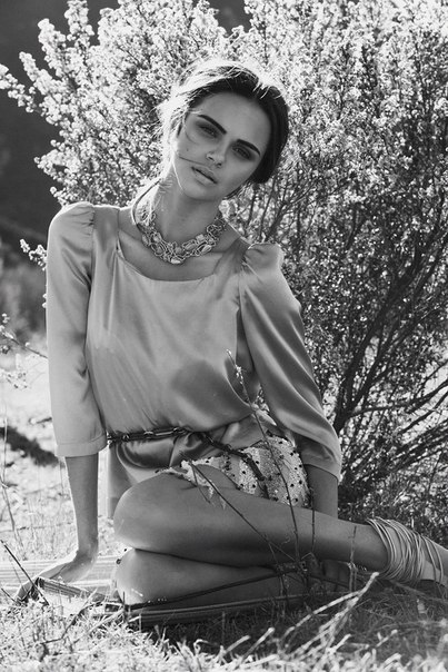   (Xenia Deli)  - ,  62-    /  - 286