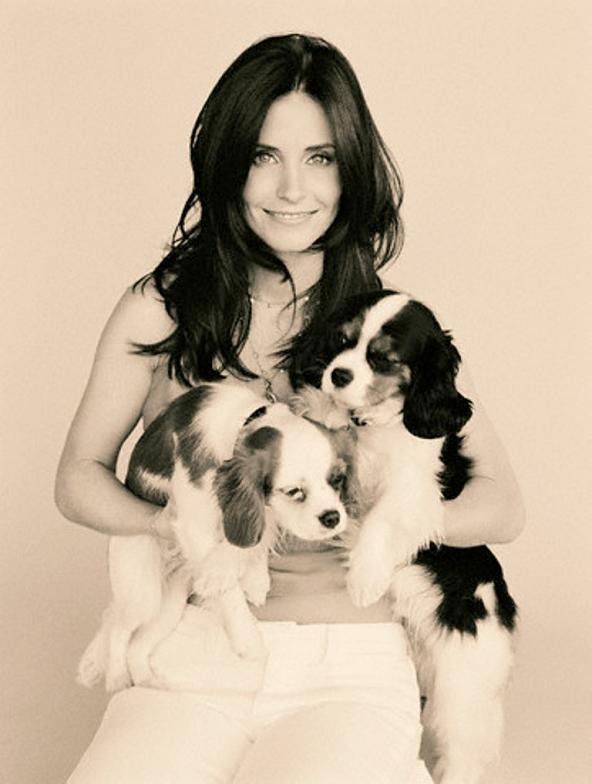 Courteney Cox ( ) /  - 29