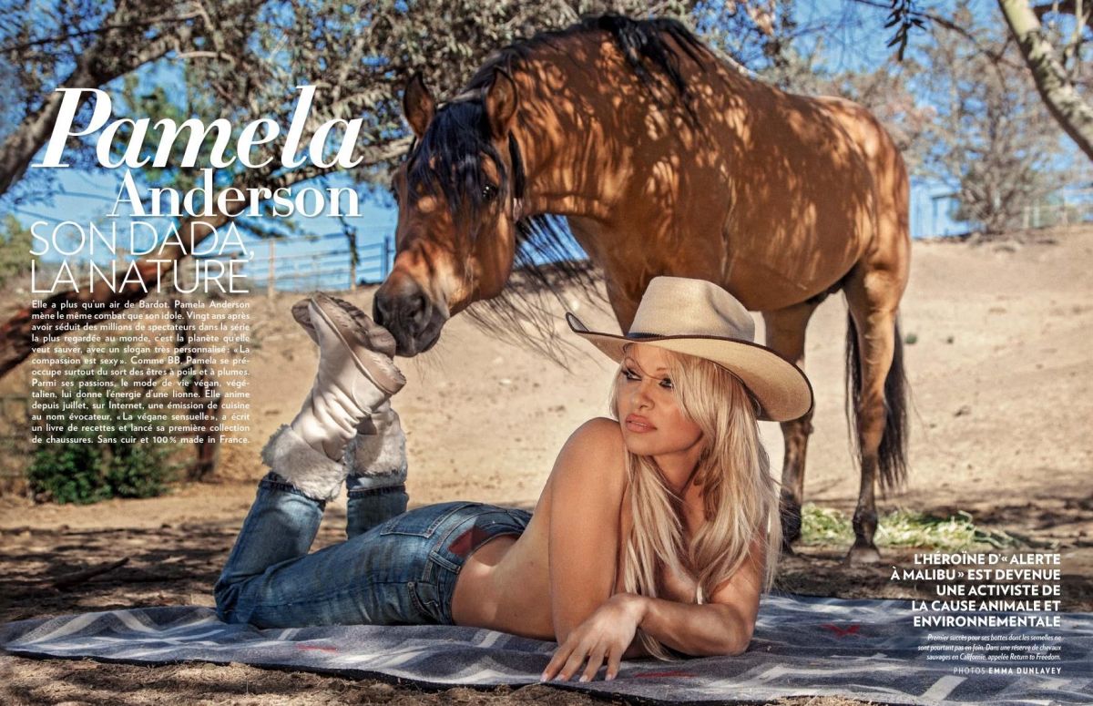   (Pamela Anderson)  - ,  Playboy /  - 43