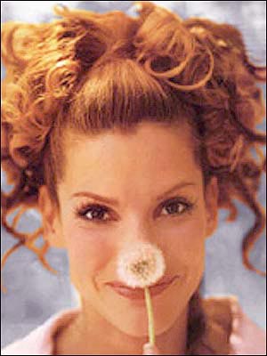 Sandra Bullock Photo (������ ������ ����) ������������ ������� / �������� - 91