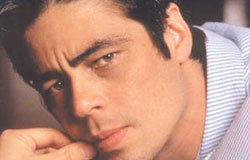 Benicio Del Toro (  )